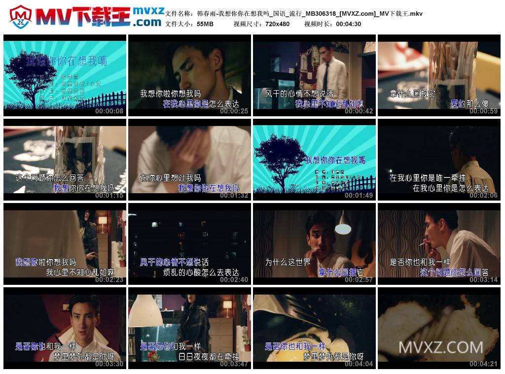 韩春雨-我想你你在想我吗_国语_流行_MB306318